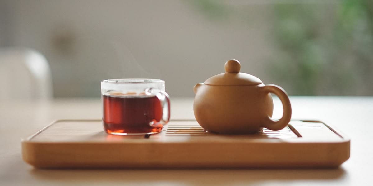 Black Tea vs Green Tea — Which One is Right for You?